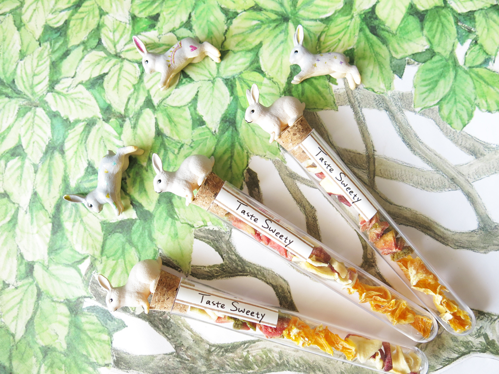 經典兔子造型試管小巧水果乾