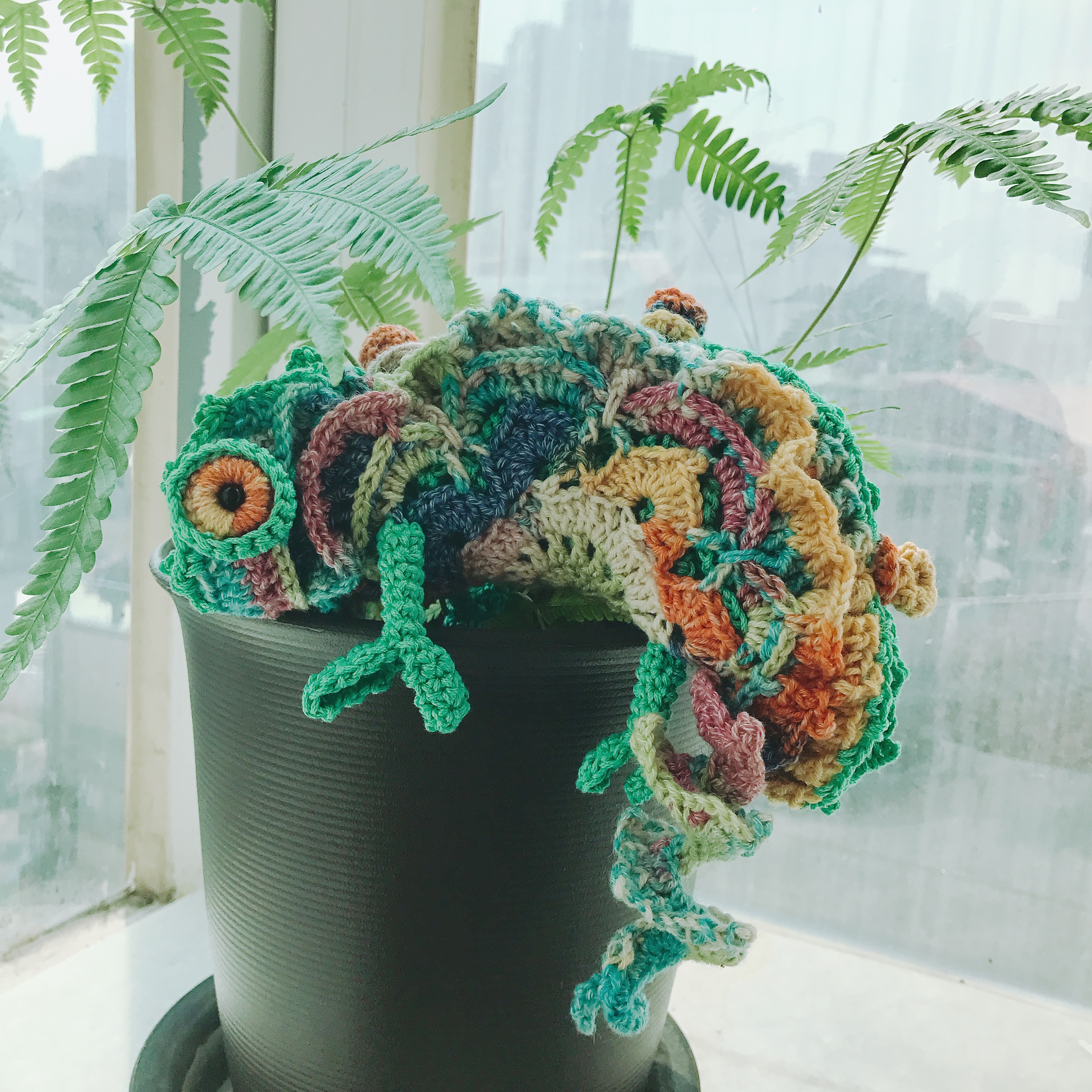 [日本] 變色龍材料包