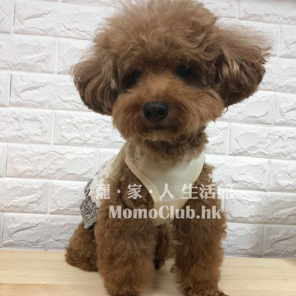 Apple Apple - 背心laces裙