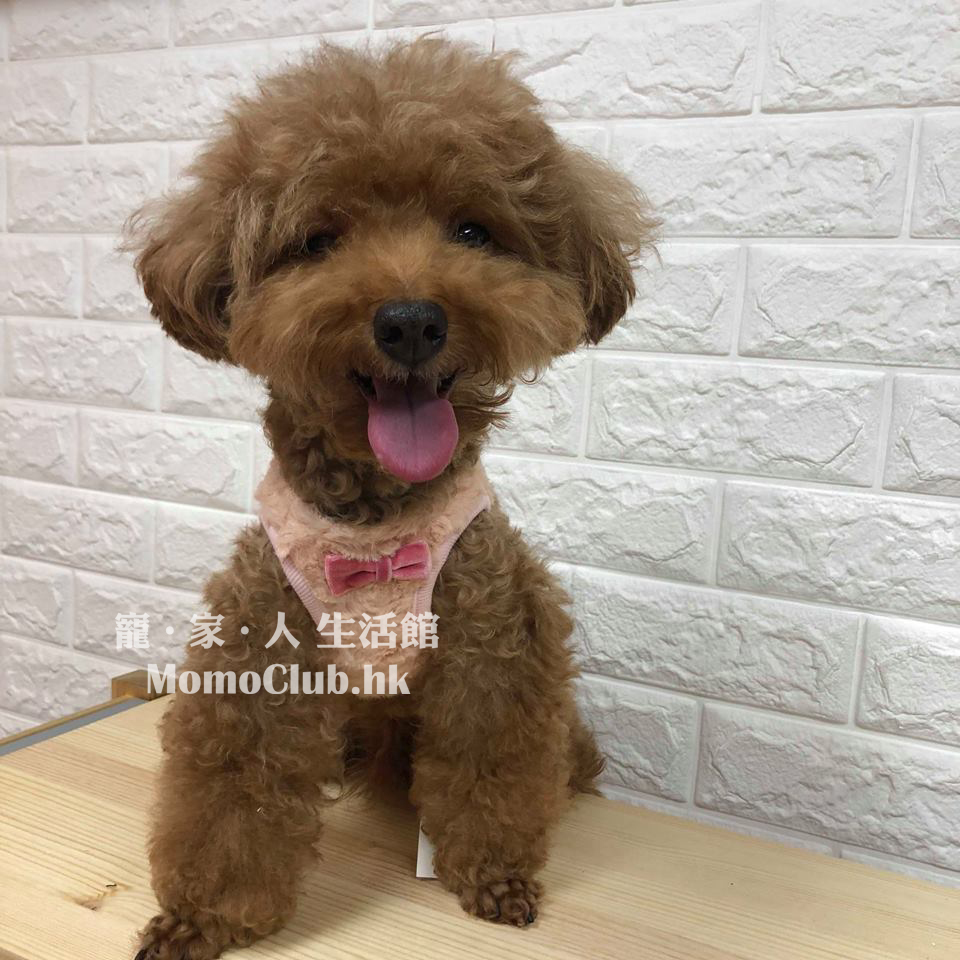 MamaDog - 花花胸背衣