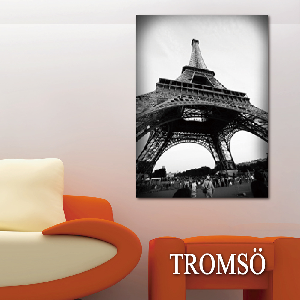 時尚無框畫-W59艾菲爾鐵塔
