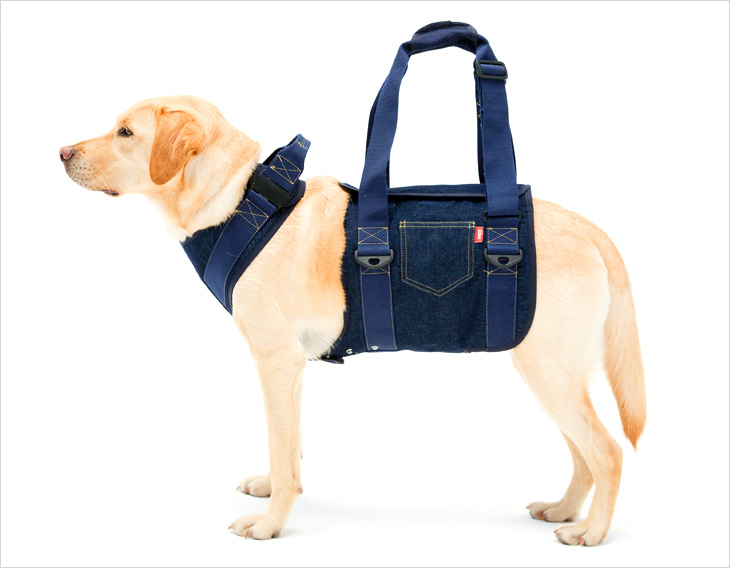 LaLaWalk 大型犬步行輔助帶 (單寧)