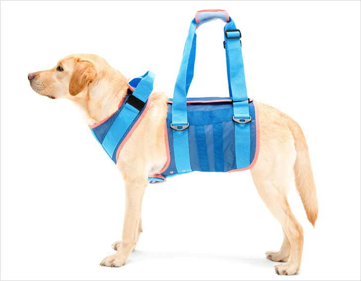 LaLaWalk 大型犬步行輔助帶 (清涼網布)