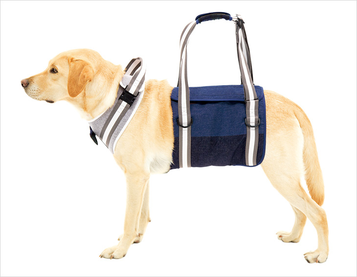 LaLaWalk 大型犬步行輔助帶 (灰藍簡約)