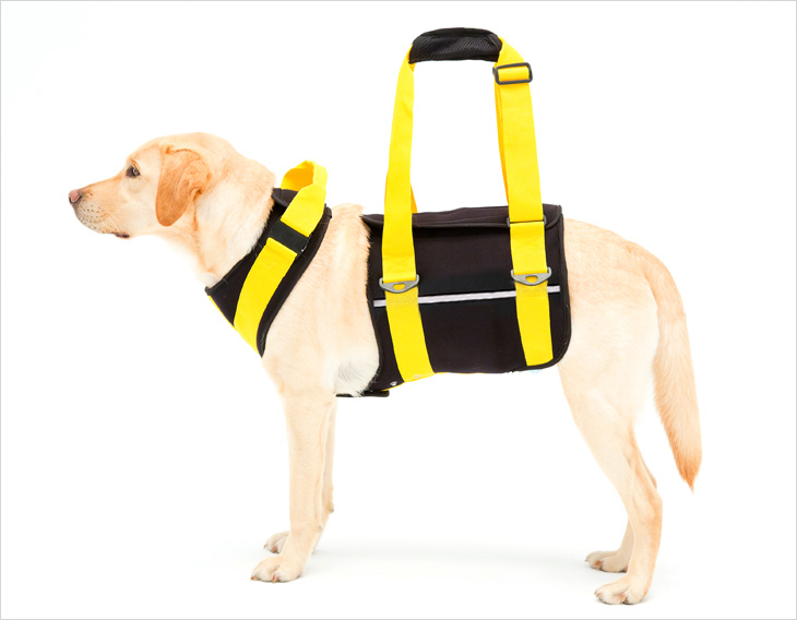 LaLaWalk 大型犬步行輔助帶 (黑亮黃)
