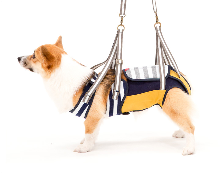 LaLaWalk 中型犬步行輔助帶 (芥末黃條紋)