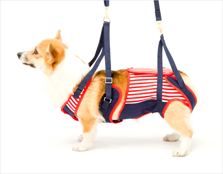 LaLaWalk 中型犬步行輔助帶 (海洋水手)