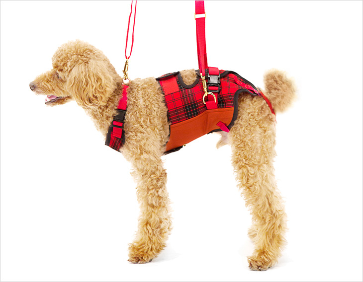 LaLaWalk 中小型犬步行輔助帶 (紅色格紋)