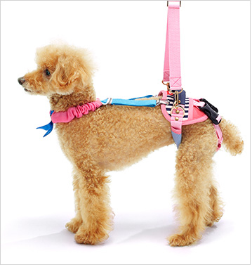 LaLaWalk 小型犬後肢簡易帶 (櫻花水手)