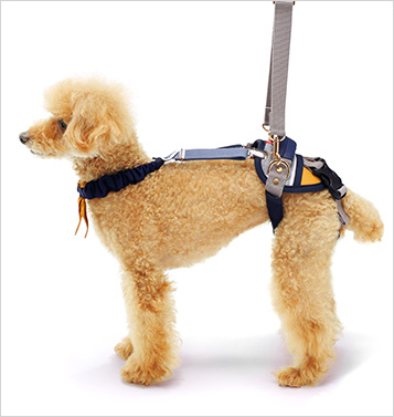 LaLaWalk 小型犬後肢簡易帶 (芥末黃)