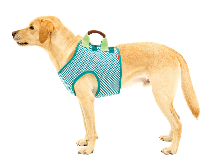 LaLaWalk 前肢包覆背心 (花園)