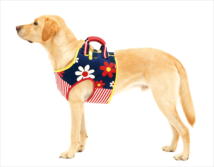 LaLaWalk 前肢包覆背心 (花朵)