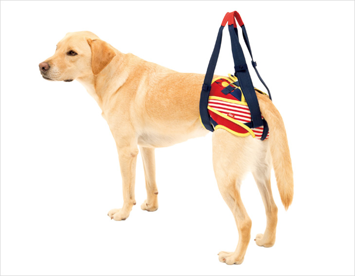 LaLaWalk步行輔助-後肢輔助且防止紙尿褲移位-紅