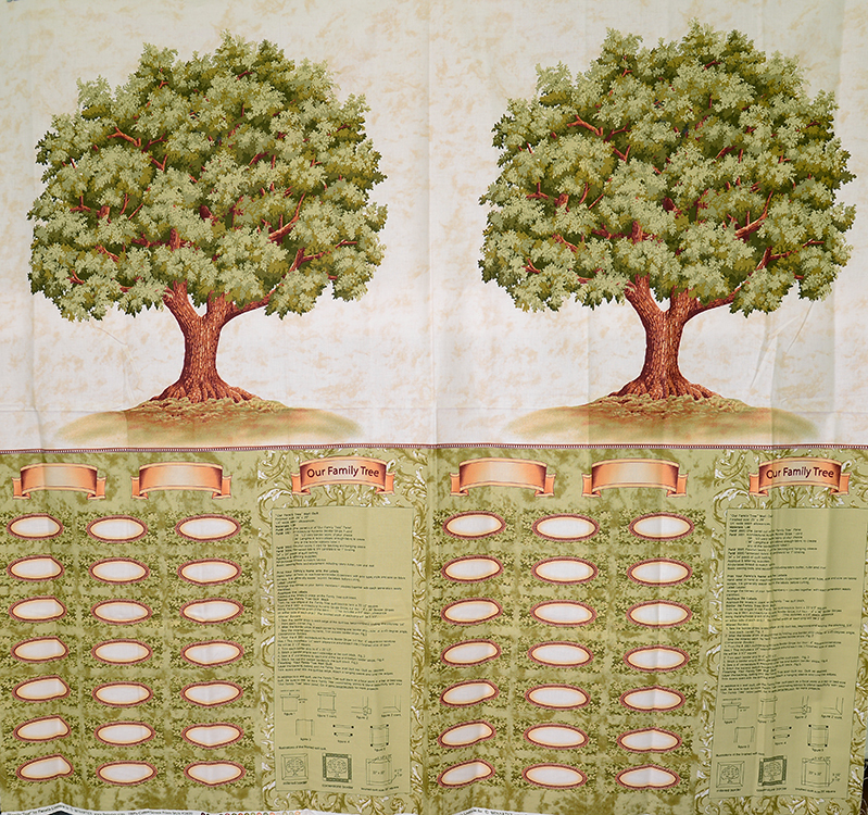 進口棉布221001-025 (約2尺)