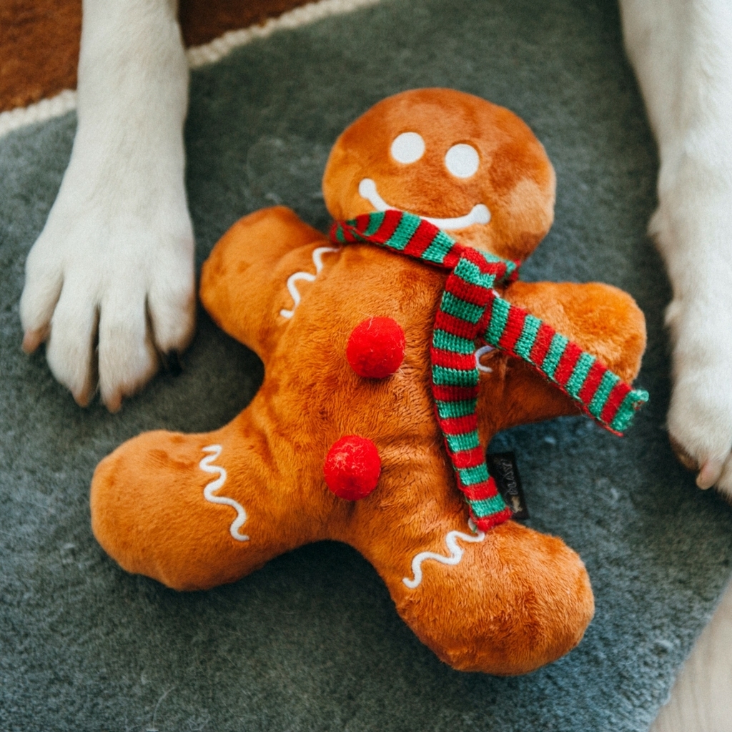 美國 P.L.A.Y 假日慶典系列-薑餅人