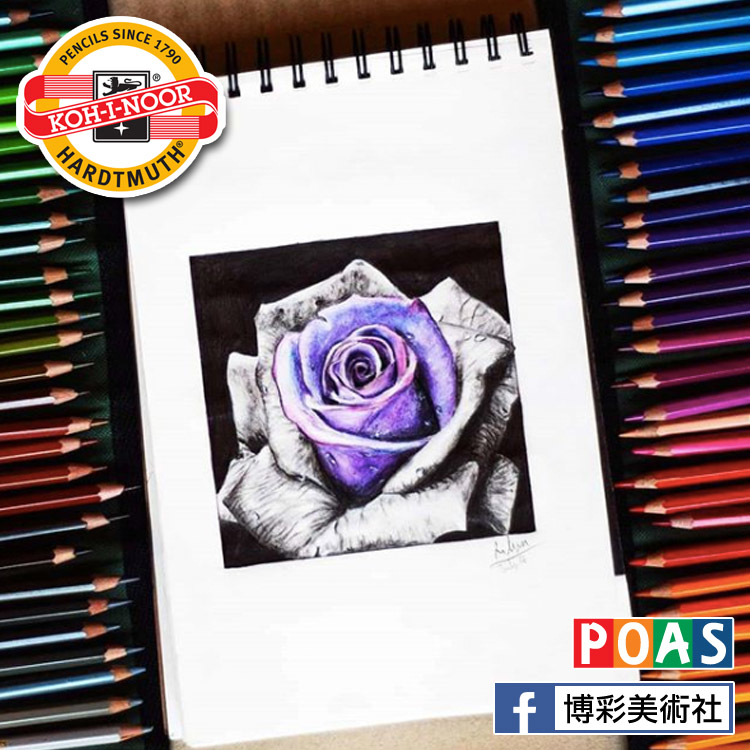 柯諾 - Mondeluz 油性色鉛筆