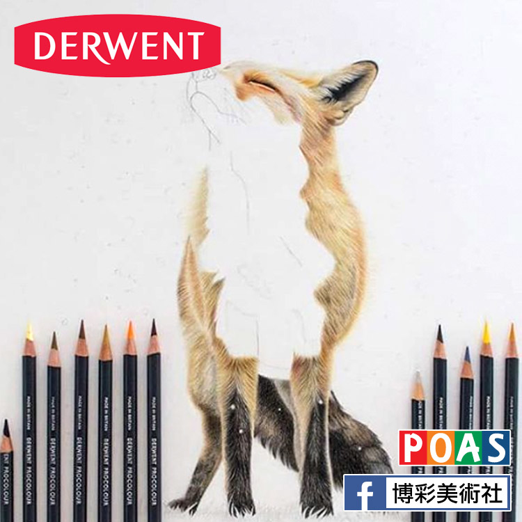 達爾文 Derwent 水性色鉛筆