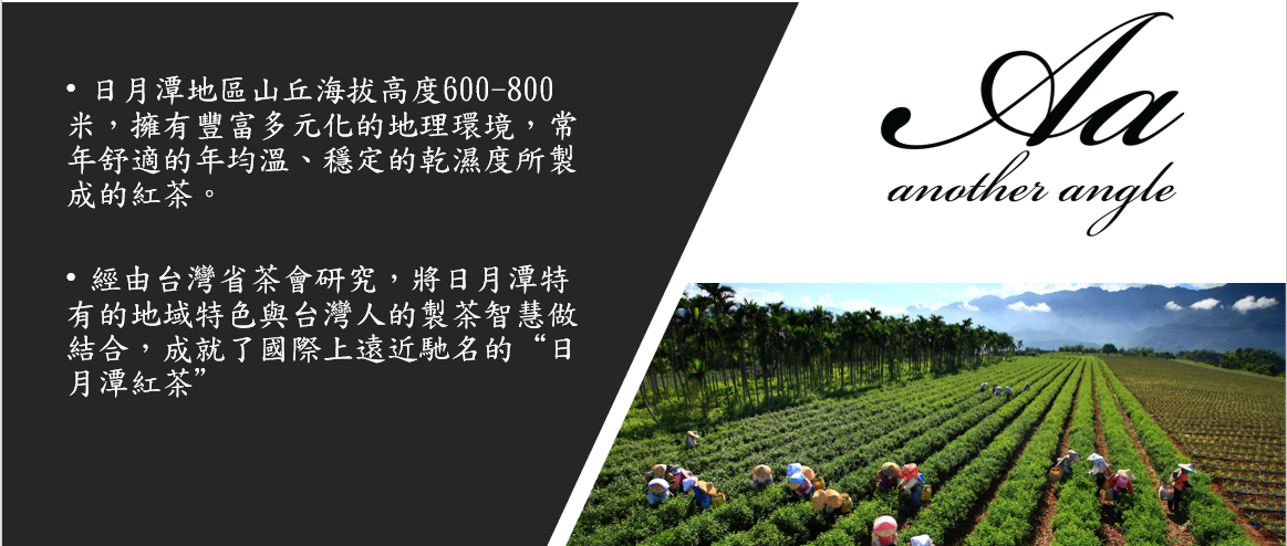 日月潭紅茶,有機紅茶,紅玉18,紅茶,內湖,換個角度有限公司,茶包,紅茶茶包