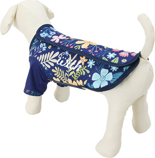 ACTIVE WAN 防風透氣雨衣-南洋度假款