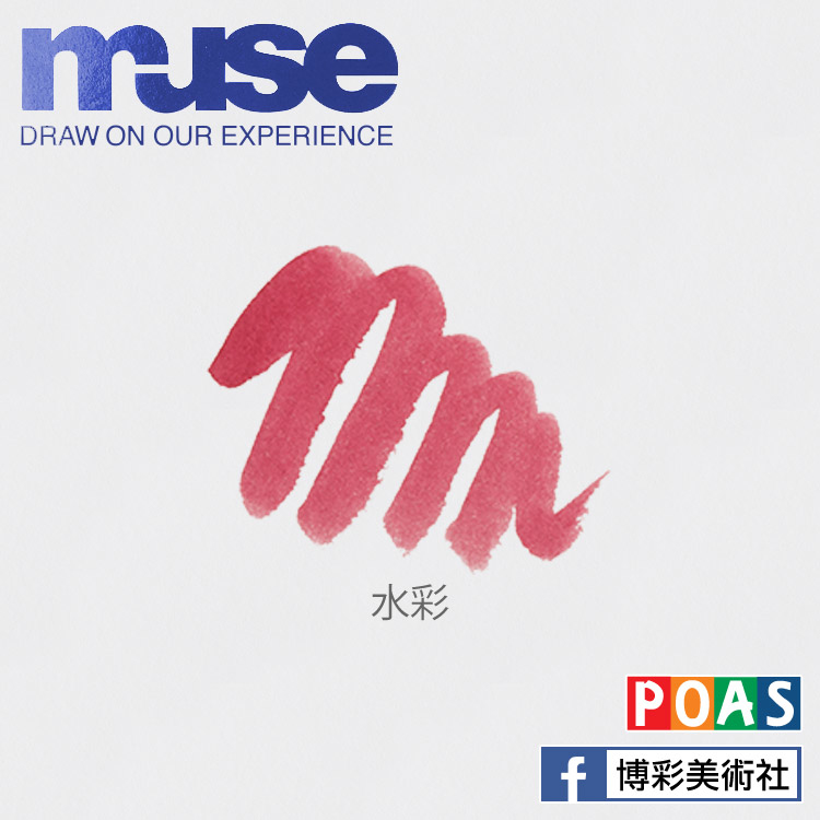 Muse 布里斯汀水彩繪本