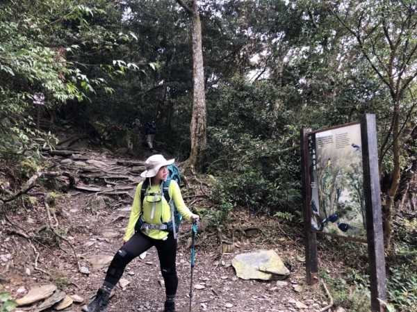 VITAL SALVEO 保健護膝