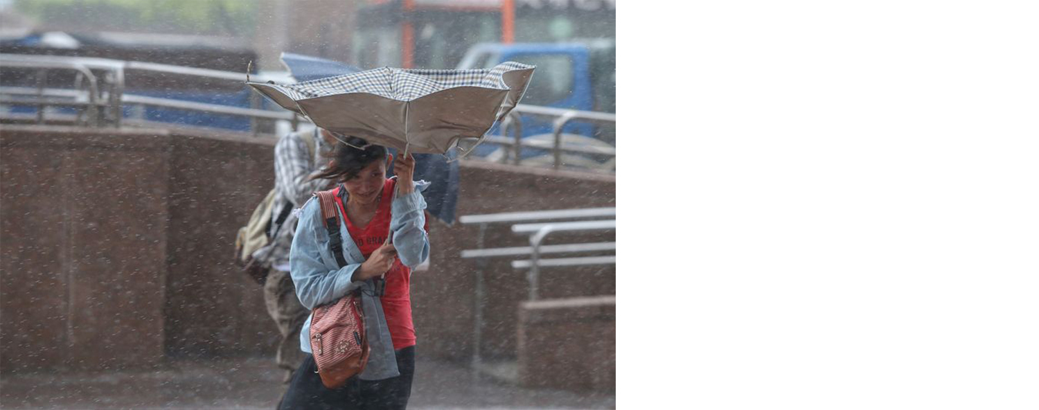 輕易被吹翻的便宜傘