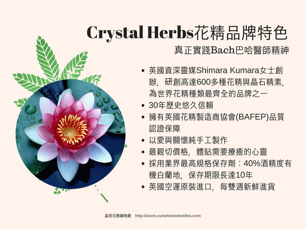 葡萄花精vine Crystal Herbs巴赫花精