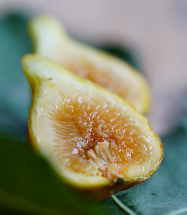 [Zen Farm] Organic Fig (a box)