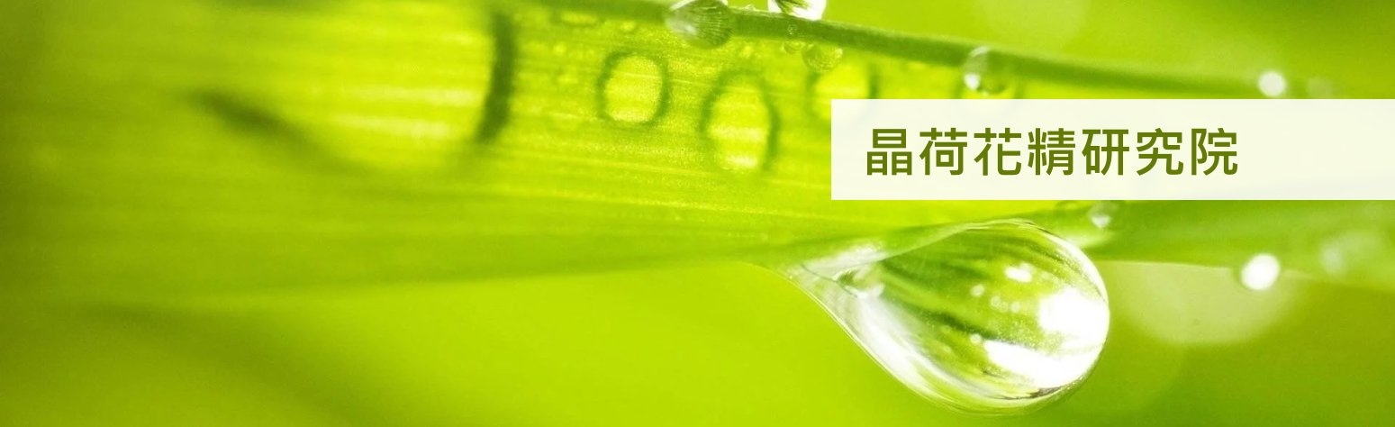 花精課程-巴哈花精課程-巴赫花精課程