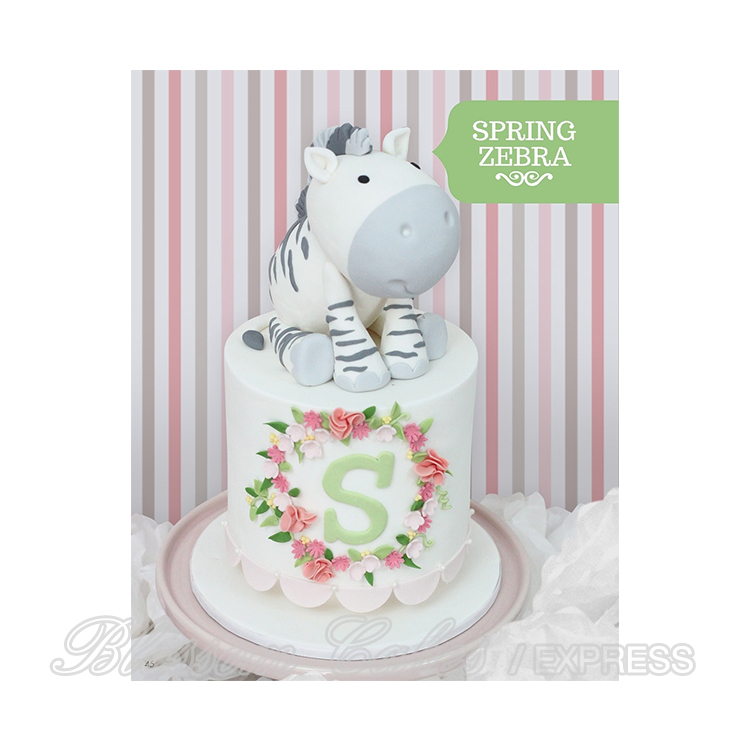 Adorable Cakes for All Occasions by Sharon Wee Creations