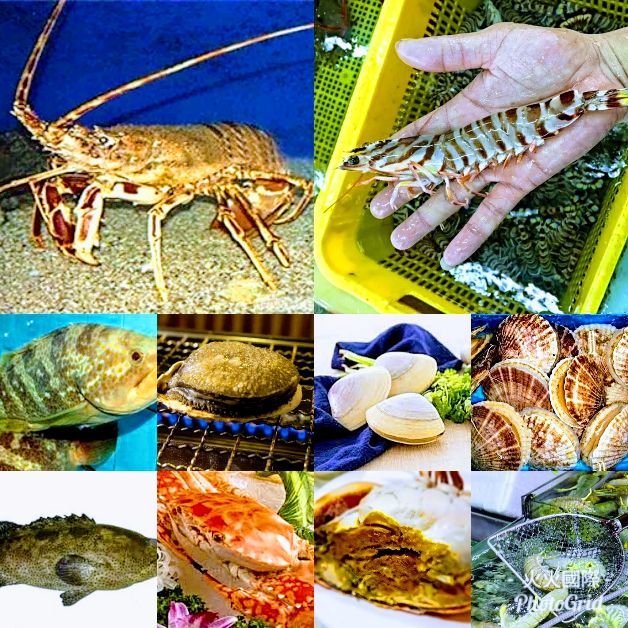 海鮮套餐 (免運費)