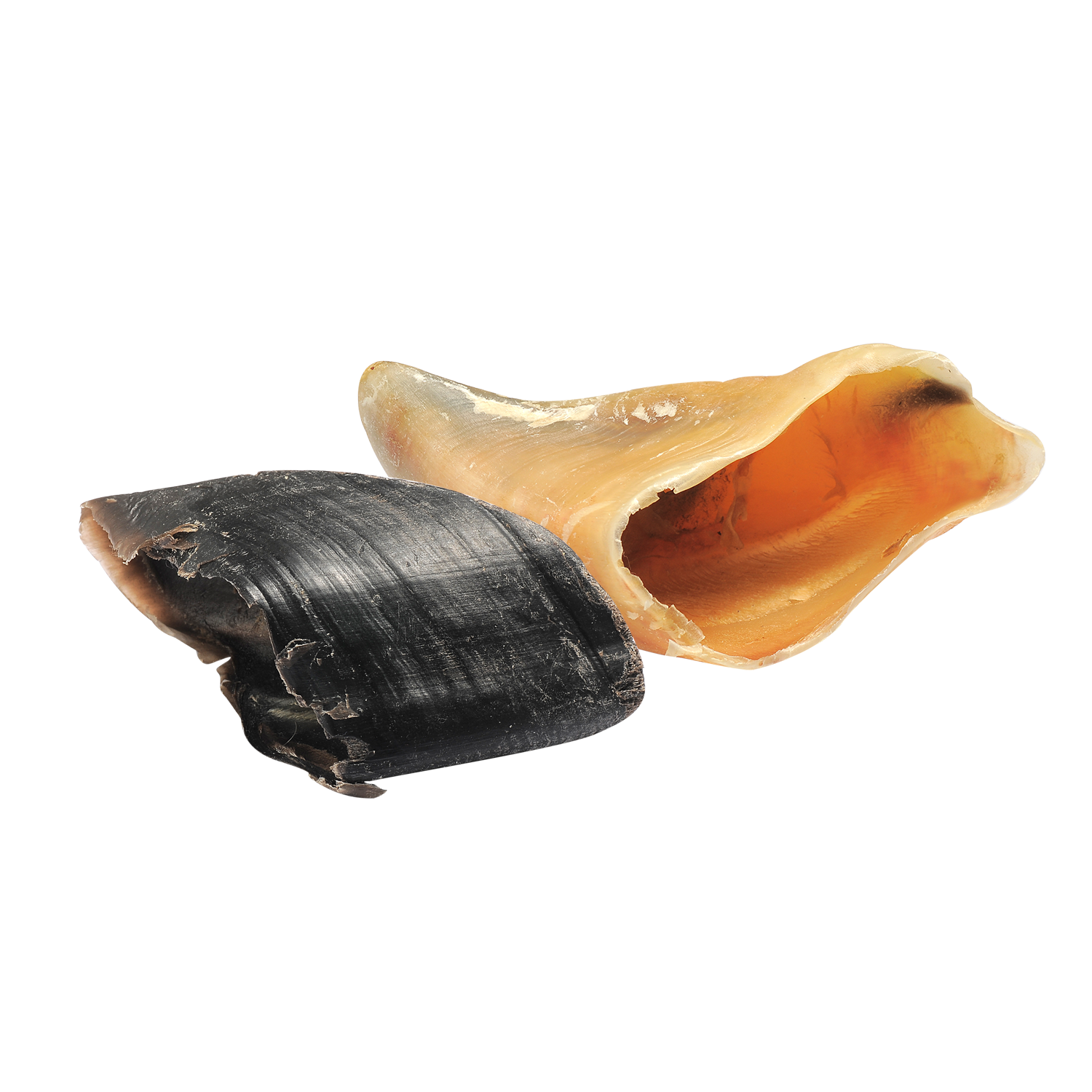 Zeal Meat Snacks Series - Beef Hooves 125g