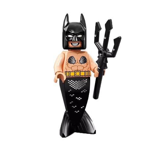 lego vacation robin