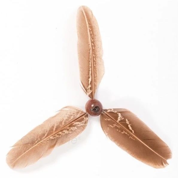 Go Cat Da Purr-Peller 替換頭