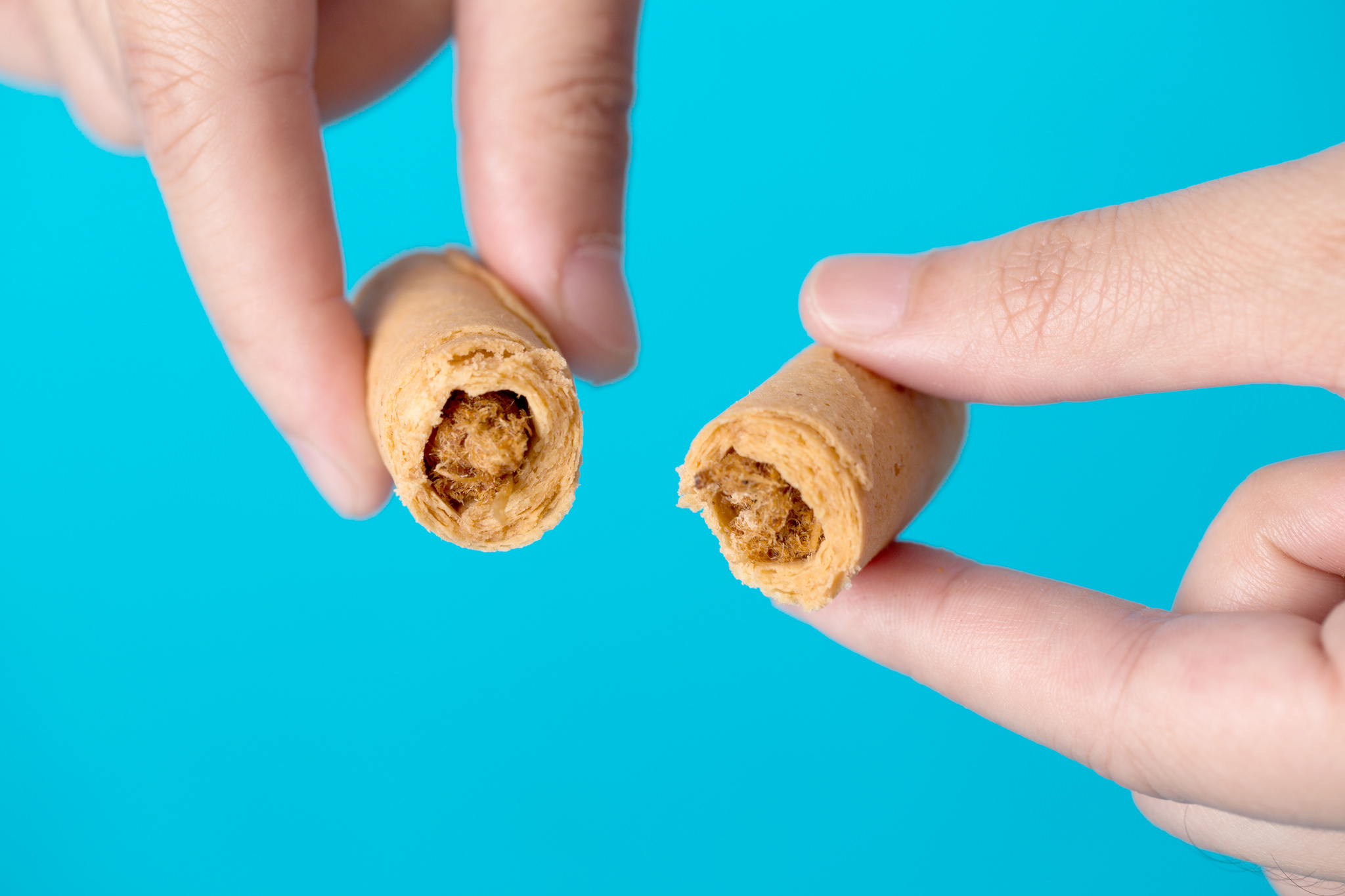 【海邊走走】經典肉鬆蛋捲