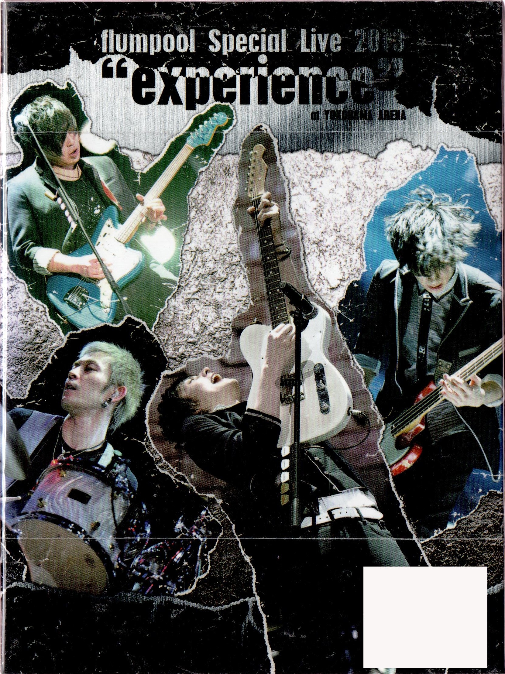 FLUMPOOL/Special Live 2013 “experience” | 03