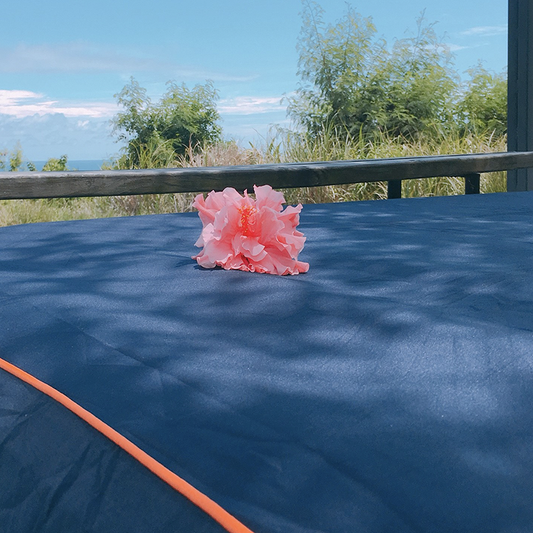 ║深靛銀藍 ● 飽和甜橘║ 綠地好眠充氣床床包