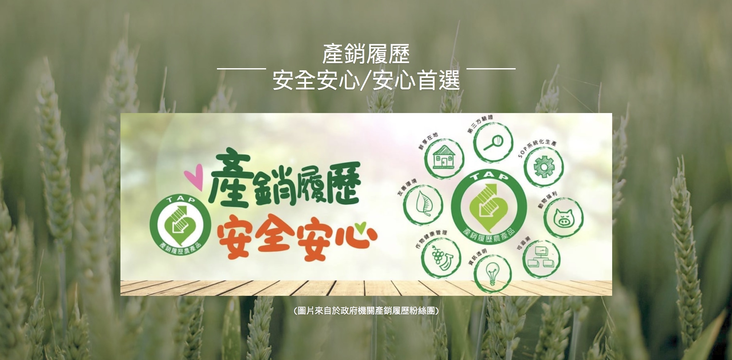 美膚娜娜 安全放心 首選