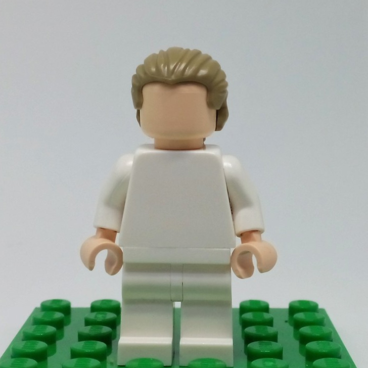 95226 Hair Swept Back with Short Ponytail