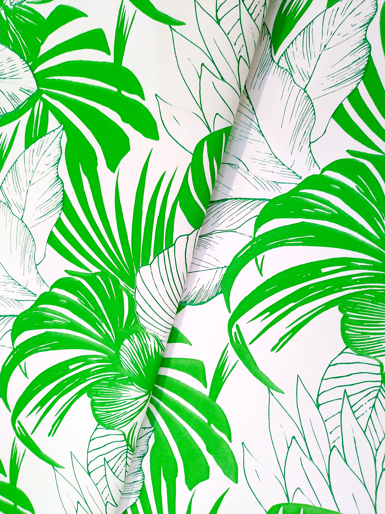 美好龜背葉/瑞士Spyk包裝紙 2款尺寸