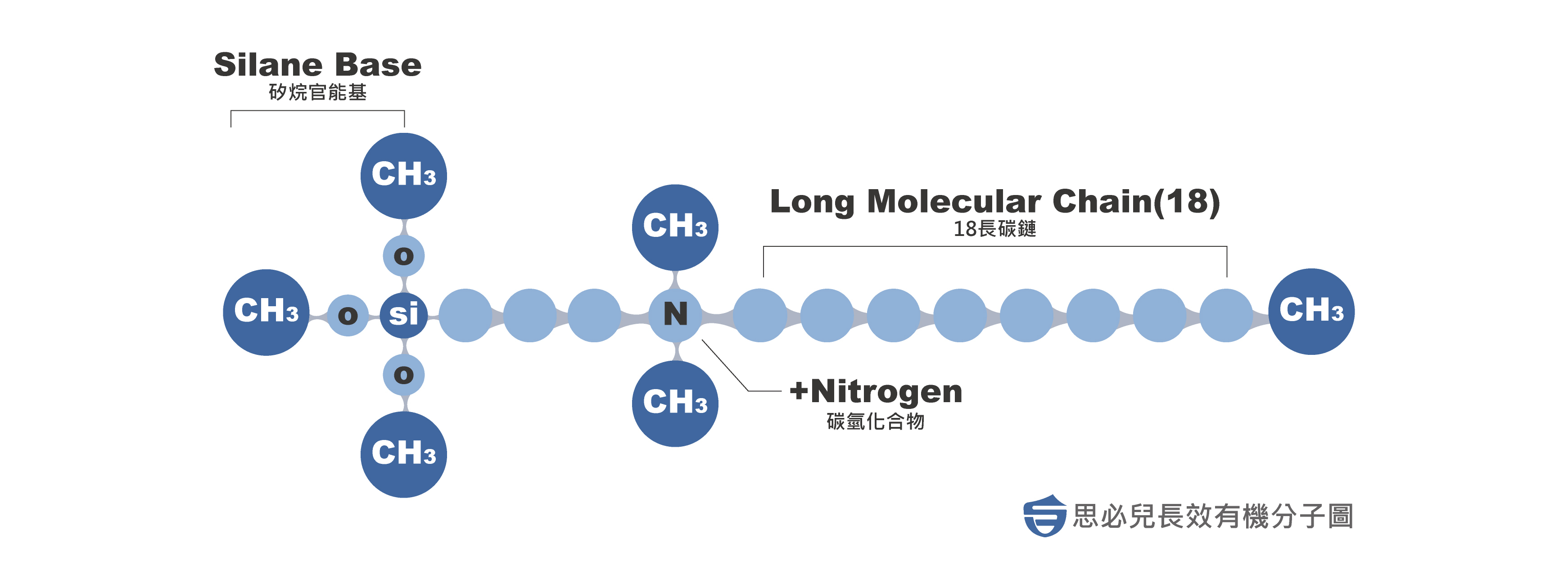 思必兒長效有機分子圖
