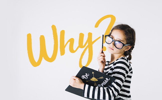 為什麼需要用到高效除濕機？