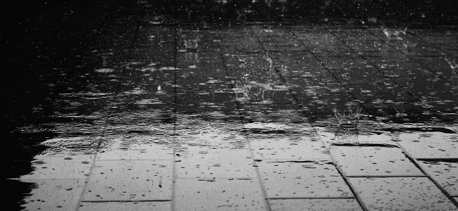 吹南風、梅雨季、颱風天，冬日陰雨連綿不斷，濕度超高怎麼辦？