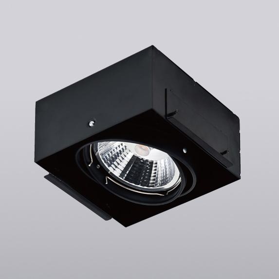 LED盒燈-AR111 8017-1 12W