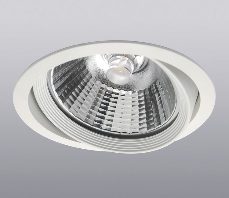 LED高瓦崁入燈- AR111 8038-3 12W