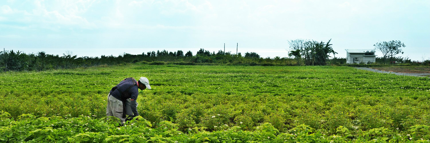 一畝香草田 問卷調查