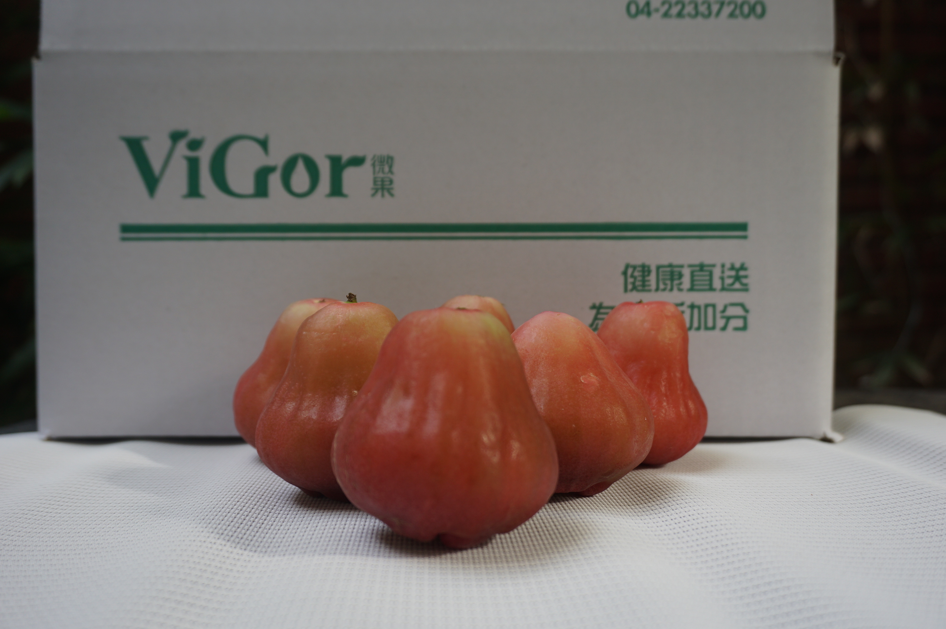 蓮霧,黑珍珠蓮霧