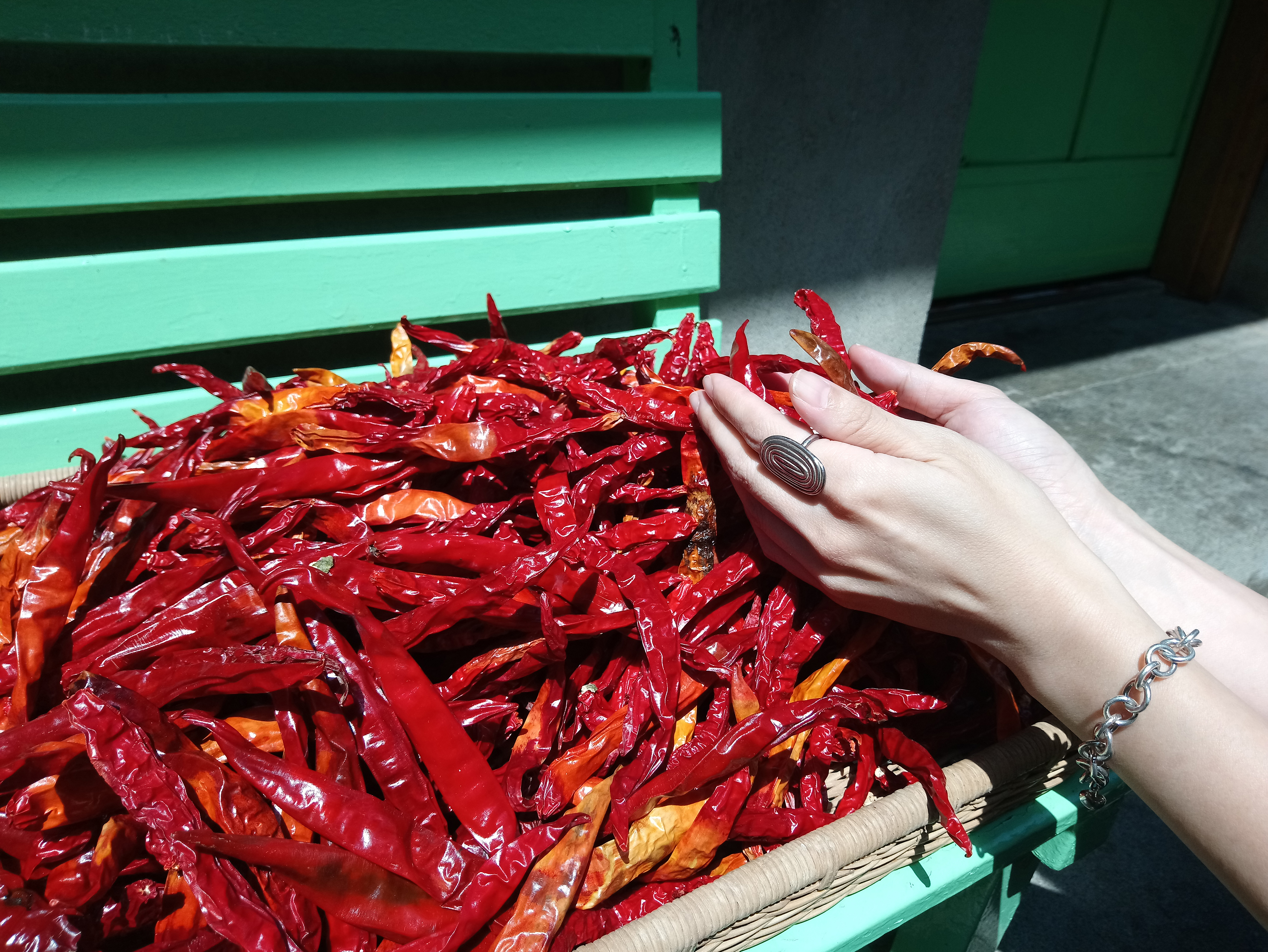 我捧起一把曬乾的辣椒並感受陽光所帶來的溫度