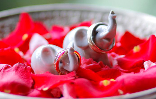 海外婚禮ElephantParkWedding大象公園婚禮