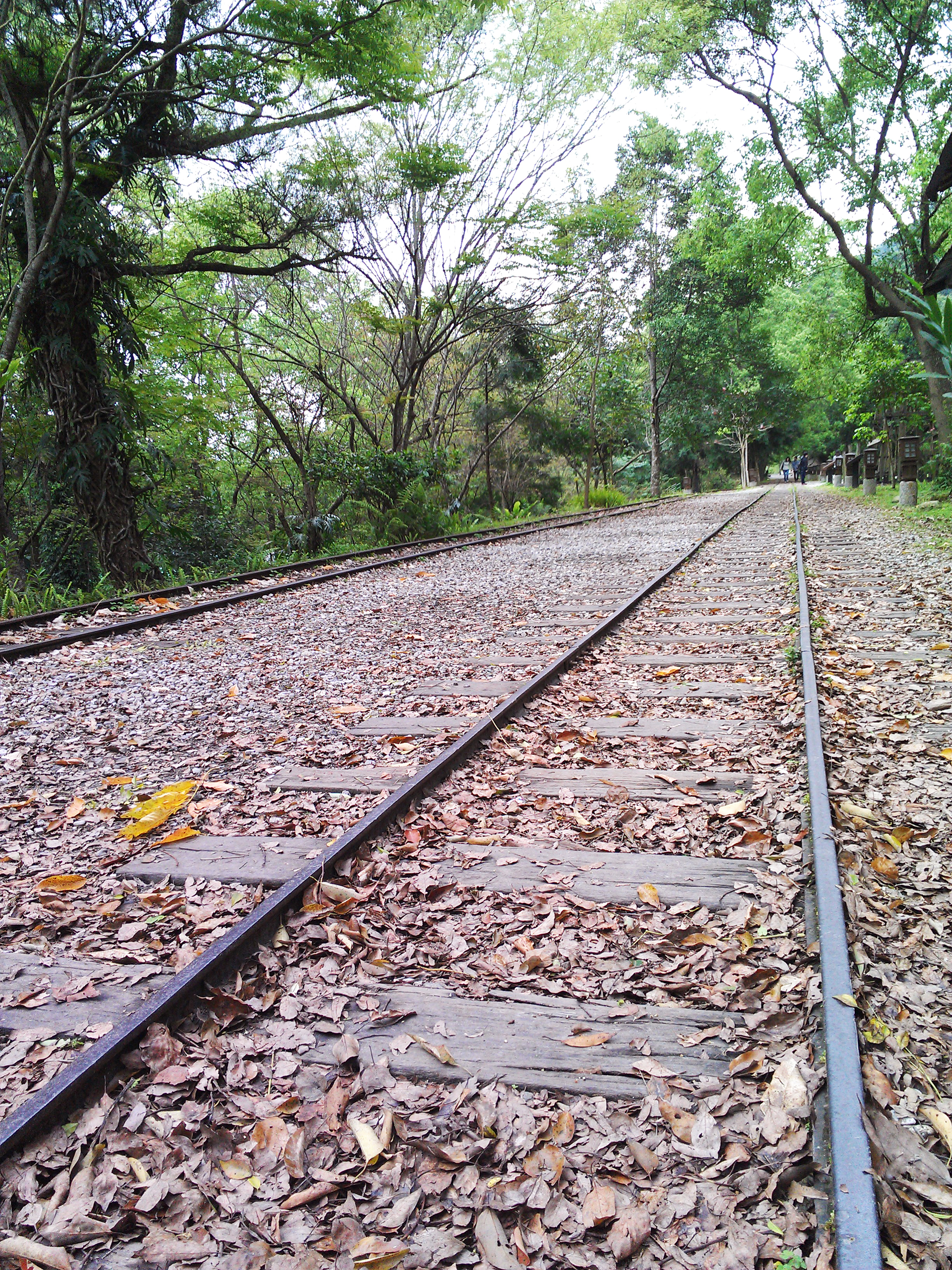 一路往家行駛的軌道